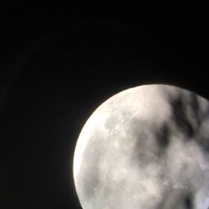 Meet your Posher, Kris